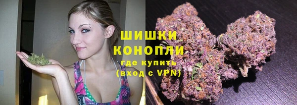 трава Покачи