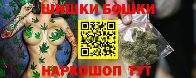 трава Сланцы