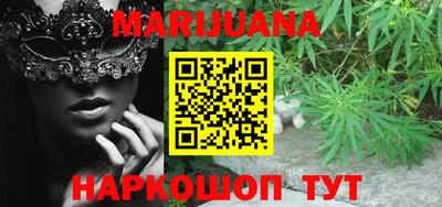 трава Сланцы