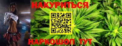 трава Сланцы