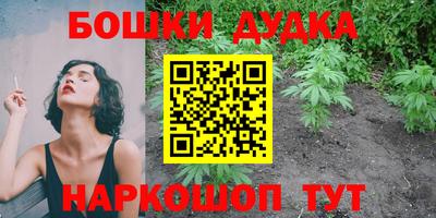 трава Сланцы