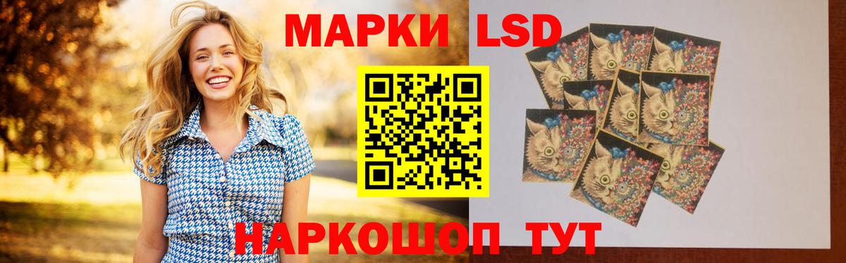 Шебекино  MEGA ссылки  ЛСД экстази кислота  Вход с VPN  LSD-25 экстази кислота 