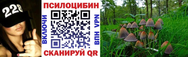 где продают Шебекино Псилоцибиновые грибы мицелий